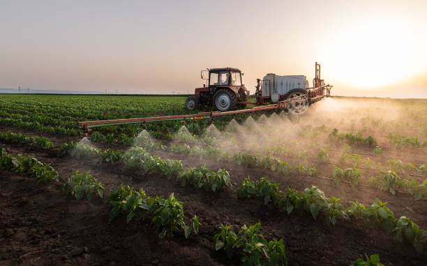 Best Commercial Pest Control Services  in Eagle, ID