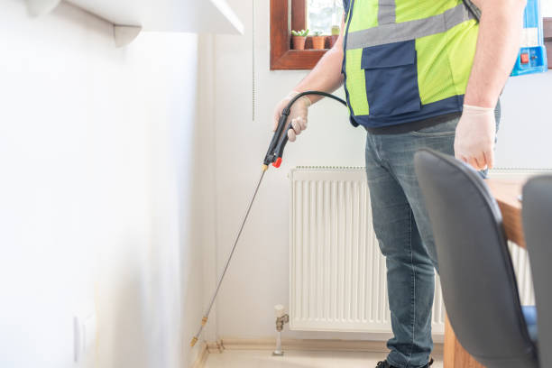 Best Termite Control Services  in Eagle, ID