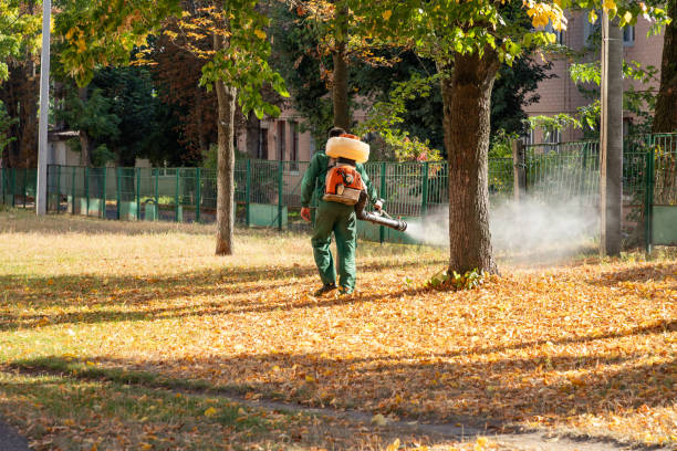 Best Pest Removal Services  in Eagle, ID